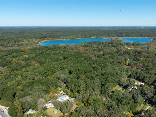.38 Acre Citra FL Property : Citra : Marion County : Florida