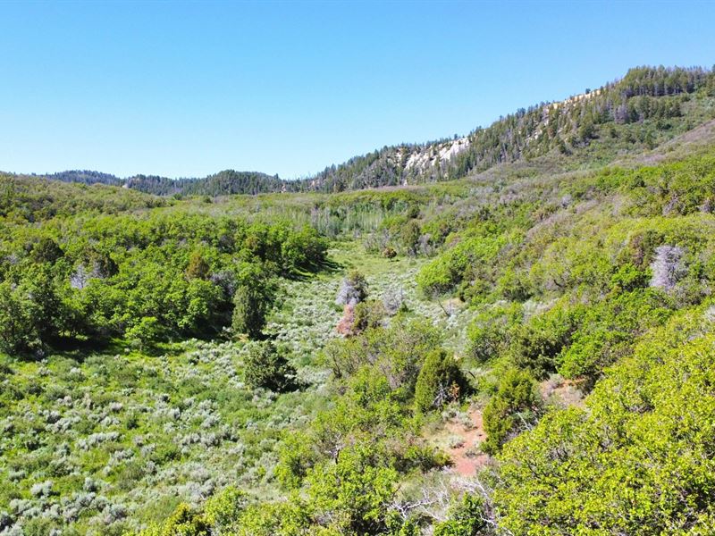 Government Creek Overlook : Rifle : Garfield County : Colorado