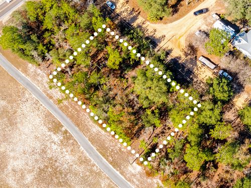 No HOA, Woodland, Owner Financing : Interlachen : Putnam County : Florida
