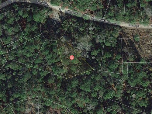 .25 Acre Wooded Lakefront Access : Brookeland : Jasper County : Texas