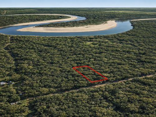 .6 Acre Wooded Corner Near Trinity : Cleveland : Liberty County : Texas