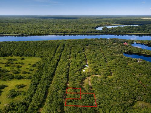 .45 Acre Near Trinity River, $275 : Cleveland : Liberty County : Texas