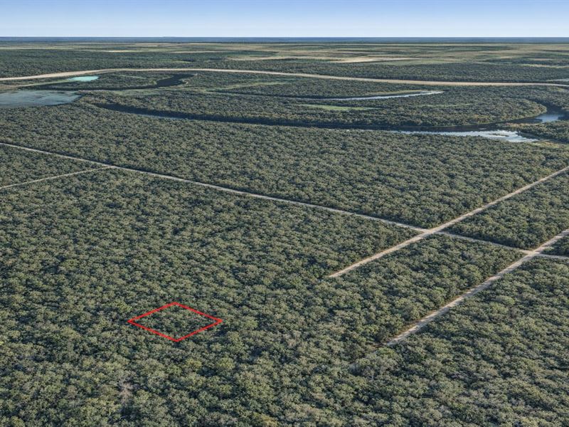 .21 Acre Wooded Trinity River Lot : Dayton : Liberty County : Texas