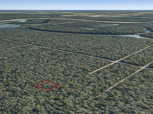 .21 Acre Wooded Trinity River Lot : Dayton : Liberty County : Texas