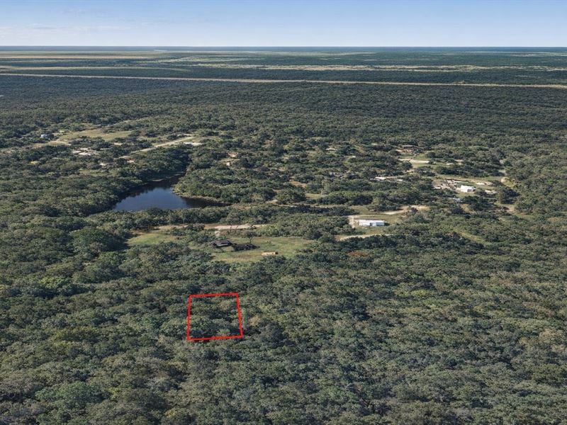 .16 Acre Near Timber Lake, $200/M : Dayton : Liberty County : Texas