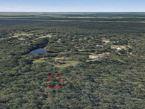 .16 Acre Near Timber Lake, $200/M : Dayton : Liberty County : Texas