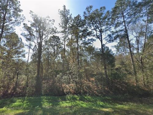 Land Opportunity Alert at $199 Down : Flagler Estates : Flagler County : Florida