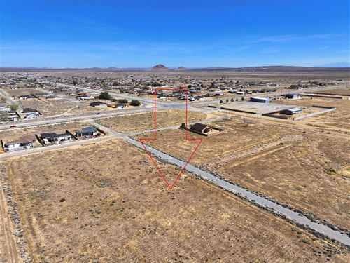 Lot 116 Peach Paved, Power & Water : California City : Kern County : California