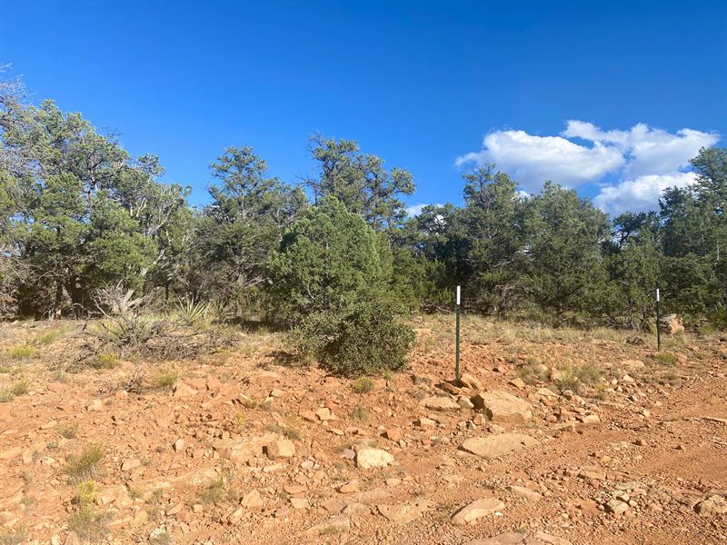 RV Living & Weekend Getaways : Ramah : Cibola County : New Mexico
