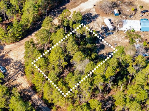 No HOA, Timber Lot, Owner Financing : Keystone Heights : Clay County : Florida