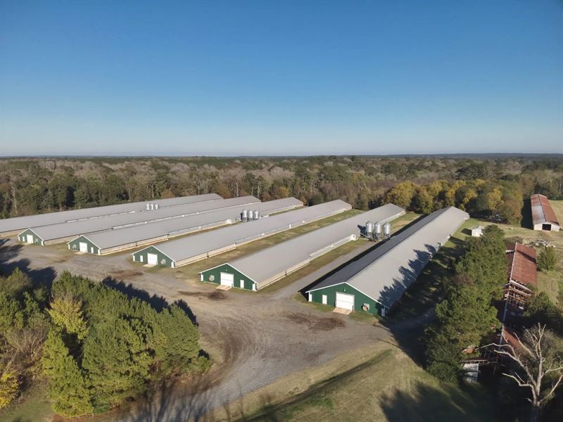 Plainview Broiler Farm : Hornbeck : Sabine Parish : Louisiana