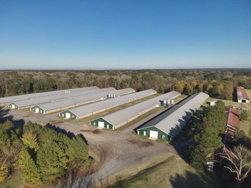 Plainview Broiler Farm : Hornbeck : Sabine Parish : Louisiana