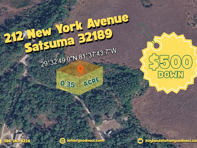 Your Lakefront Property at Satsuma : Satsuma : Putnam County : Florida
