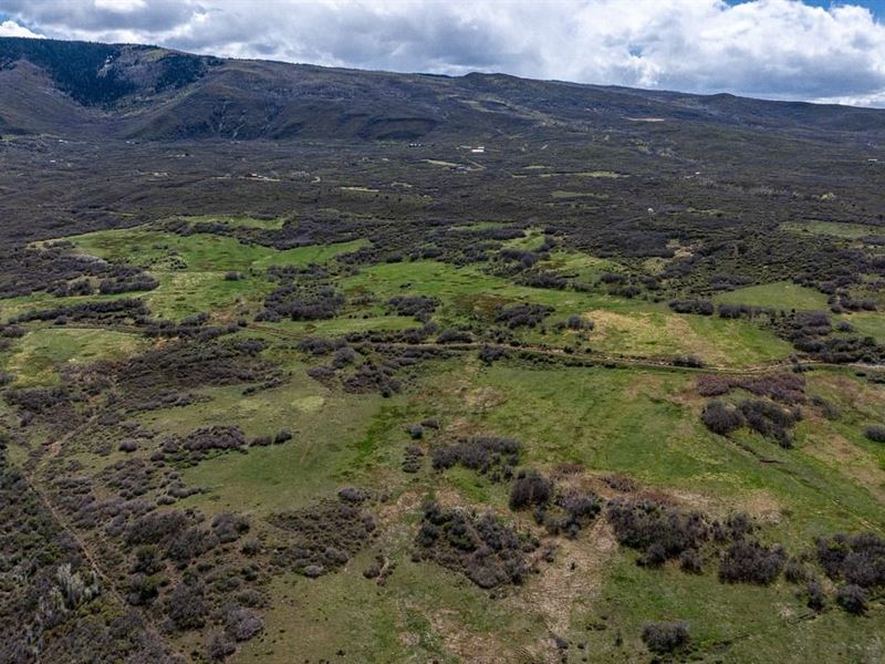 Bull Basin Meadows Ranch : Collbran : Mesa County : Colorado
