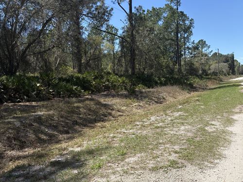 Lote Lake Access FL : Georgetown : Putnam County : Florida