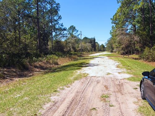 Lote Con Acceso AL Lago FL so $199 : Georgetown : Putnam County : Florida