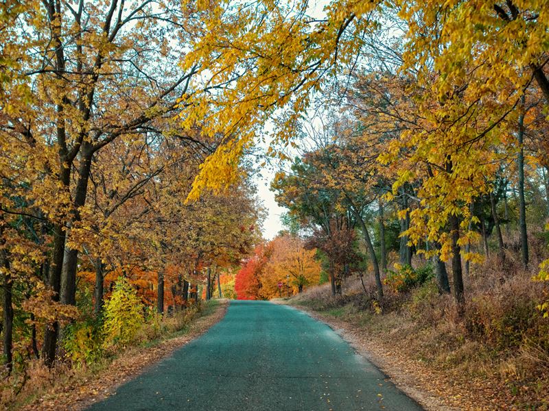 MN Double Lot At End Of Cul-De-Sac : Garrison : Mille Lacs County : Minnesota