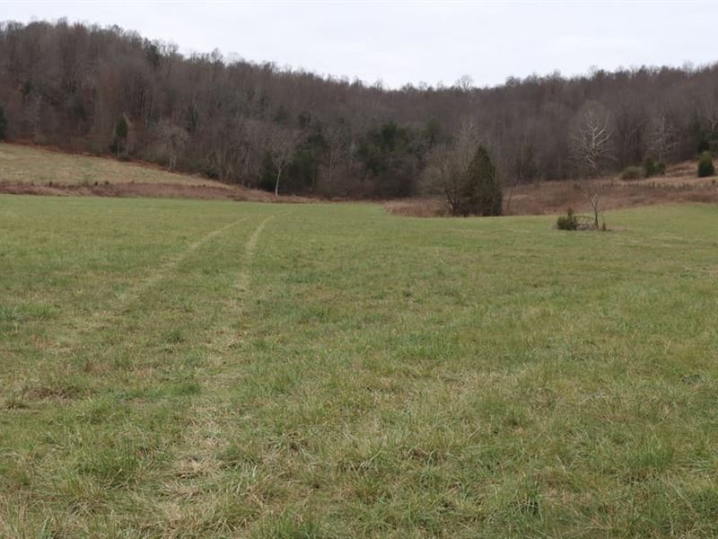 Kentucky Cattle Horse & Hunting Far : Horse Cave : Hart County : Kentucky