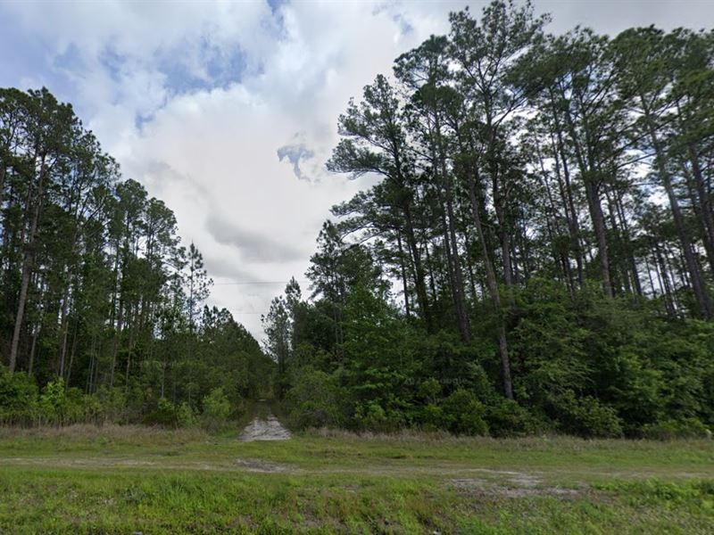 Sale, $99 Down Unlocks 1.25 Acres : Hastings : Flagler County : Florida
