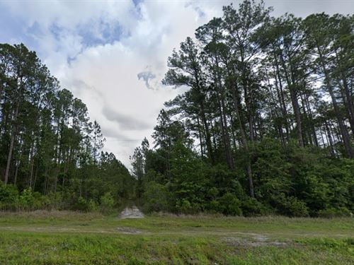 Sale, $99 Down Unlocks 1.25 Acres : Hastings : Flagler County : Florida