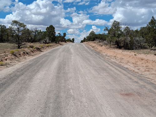Camp, Hunt, Explore- All Yours Now : Saint Johns : Apache County : Arizona