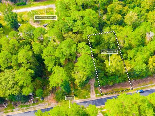 .20 Acre TX Lake Lot, Utilities : Ivanhoe : Tyler County : Texas