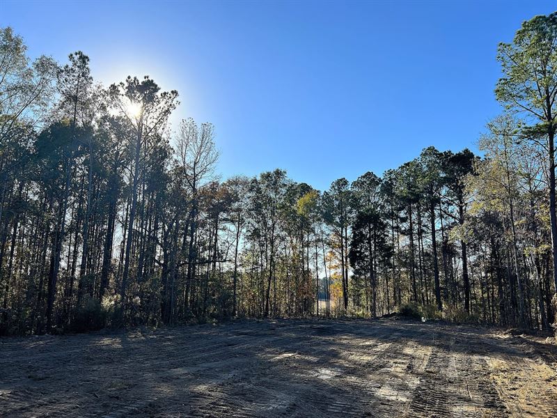 29-135 East Cotton Farm : Eclectic : Elmore County : Alabama
