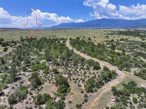 $88.95/Mo, Residential Lot : Colorado City : Pueblo County : Colorado
