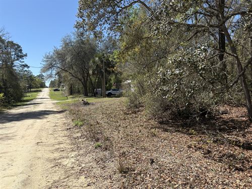 Escape The Snow in Satsuma, Florida : Satsuma : Putnam County : Florida