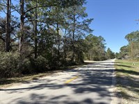 Welcome to Sunny Satsuma, FL : Satsuma : Putnam County : Florida