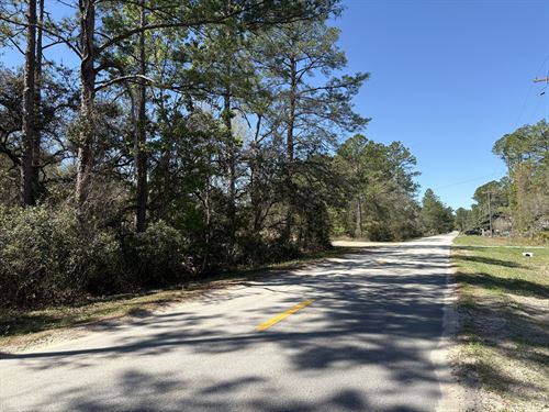 Welcome to Sunny Satsuma, FL : Satsuma : Putnam County : Florida