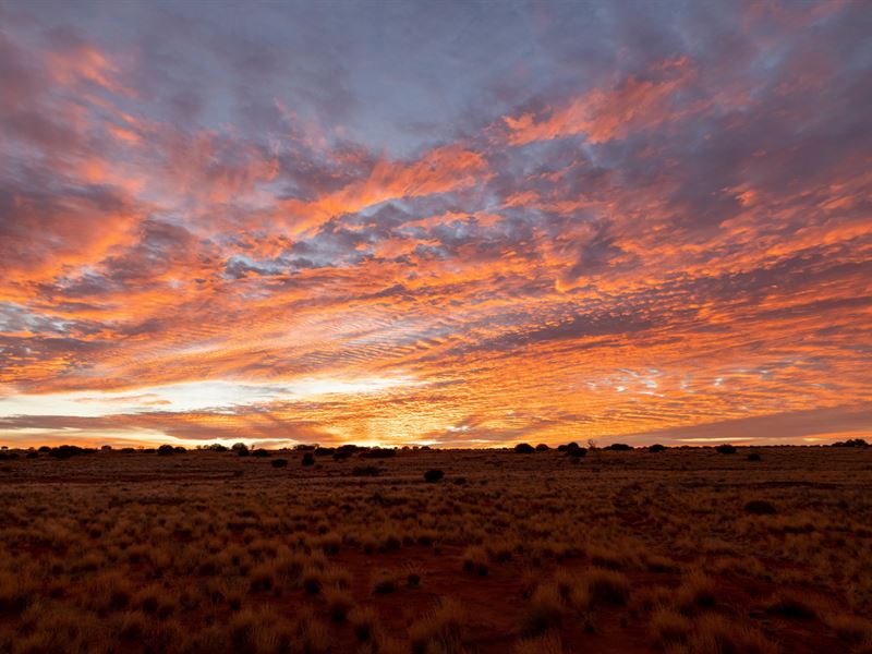 1 Acre Near I-25, Unrestricted : Las Nutrias : Socorro County : New Mexico