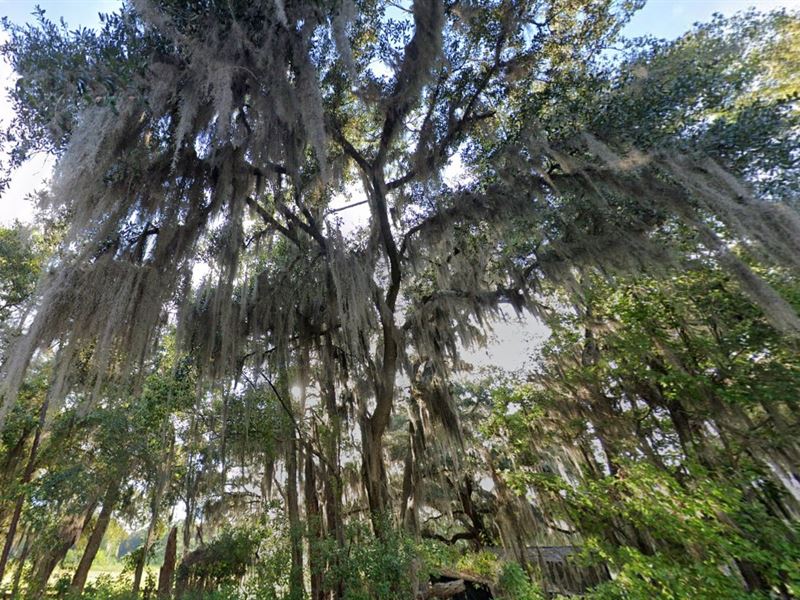 Love Month Madness $99 Down : Federal Point : Putnam County : Florida