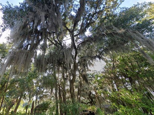 Love Month Madness $99 Down : Federal Point : Putnam County : Florida