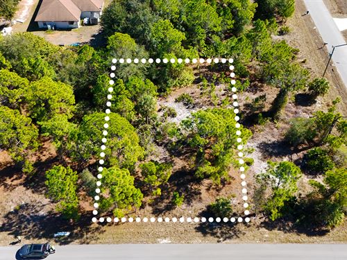 No HOA, Near River, Owner Financing : Lehigh Acres : Lee County : Florida