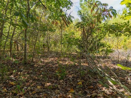 $499/$999 Down Financing : Clifton : Perry County : Tennessee
