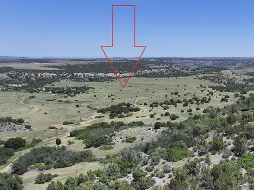 $88.95/Mo, Residential Lot : Colorado City : Pueblo County : Colorado