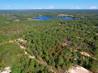 Peace in The Pines : Interlachen : Putnam County : Florida