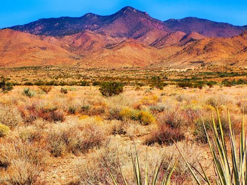 Unlock RV Freedom : Chloride : Mohave County : Arizona