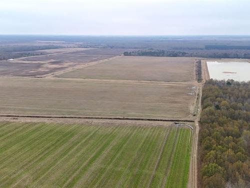 White County, AR Cotton, Rice & Soy : Griffithville : White County : Arkansas