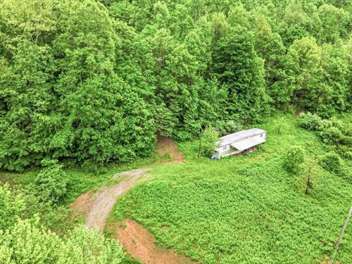 Co Rd 46, 63 Acres : Lower Salem : Noble County : Ohio