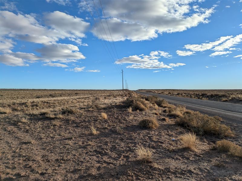Arizona Unspoiled Desert Beauty : Petrified Forest Natl Pk : Apache County : Arizona