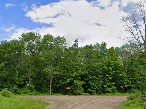 Wooded Lot, No HOA, Owner Financing : Arkport : Allegany County : New York