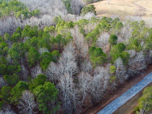 Turkey Pen Road Tract 4, 5 : Cragford : Clay County : Alabama
