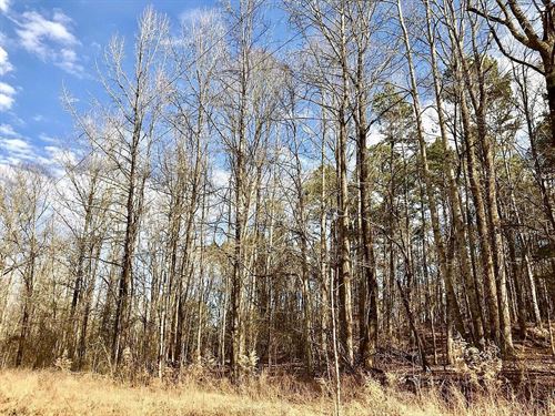 .69 Acres in Gated Lake Community : Saulsbury : Hardeman County : Tennessee