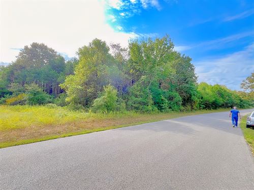 Privacy and Quiet on 2/3 Acre : Horseshoe Bend : Izard County : Arkansas