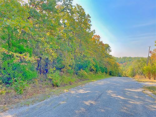 Walk to The Beach & Golf Course : Horseshoe Bend : Izard County : Arkansas