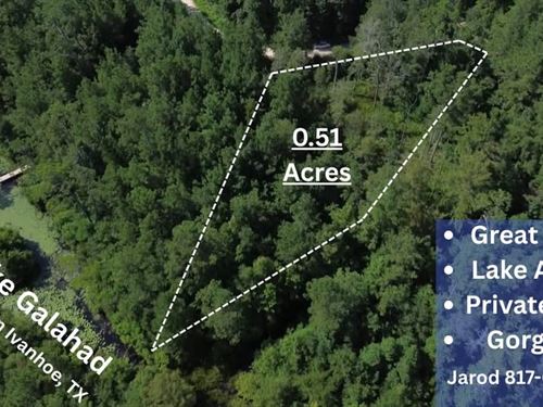 Lake Galahad Lake Front Lot : Ivanhoe : Tyler County : Texas