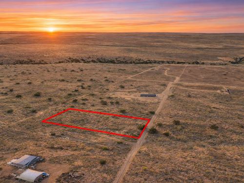 .31 Acre Mountain Views : Meadview : Mohave County : Arizona
