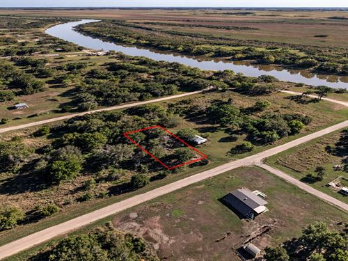 .17 Acre Wooded Lot on Powell Rd : Trinity : Walker County : Texas